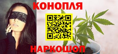 индика Аргун