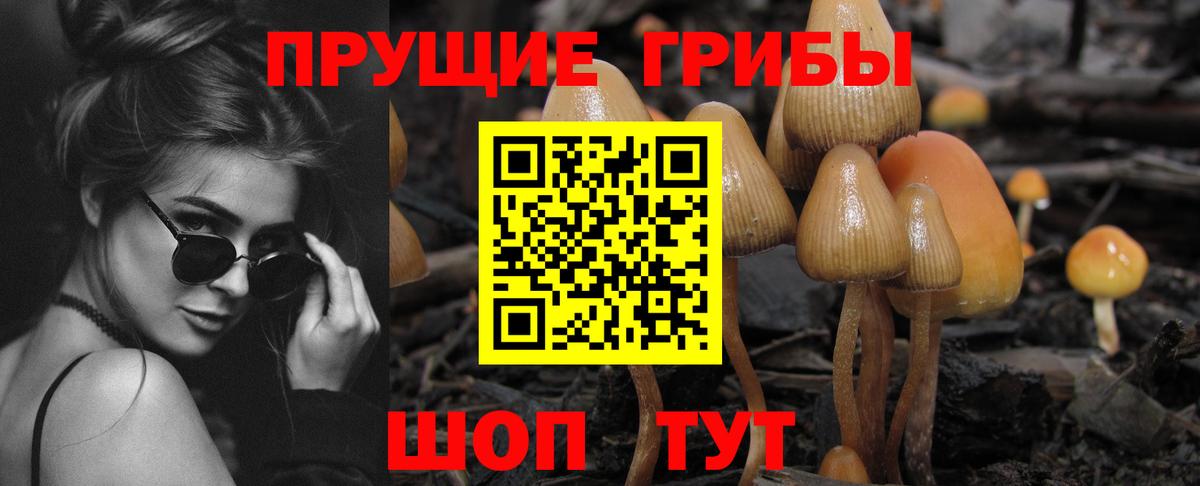 Асбест  Галлюциногенные грибы мухоморы  Вход с VPN  где продают   Псилоцибиновые грибы Cubensis 